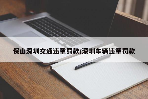 保山深圳交通违章罚款/深圳车辆违章罚款