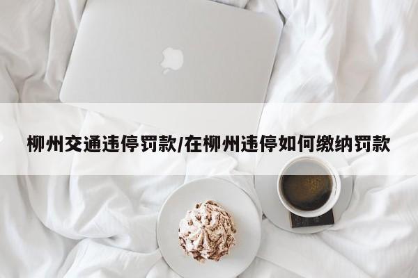 柳州交通违停罚款/在柳州违停如何缴纳罚款